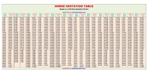 Horse Gestation Calculator and Chart