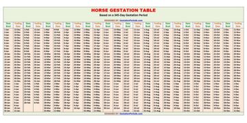 Horse Gestation Table