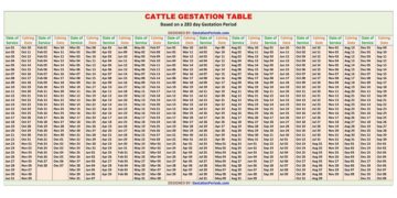 Cattle Gestation Table / Chart