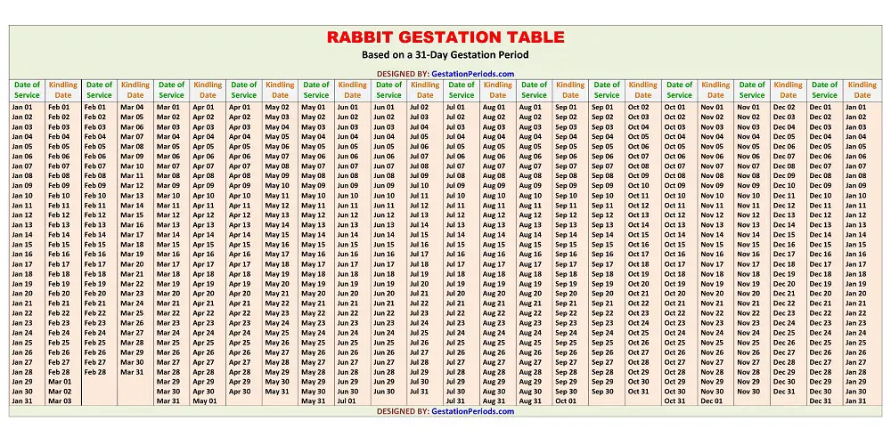 Rabbit Gestation Table / Chart