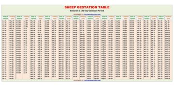 Sheep Gestation Table