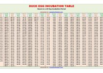 Duck Egg Incubation Calculator and Chart