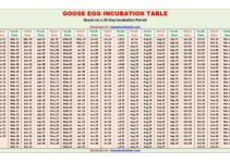 Goose Egg Incubation Calculator and Chart