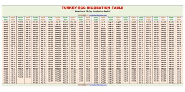 Turkey Egg Incubation Table / Chart