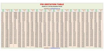 Pig Gestation Chart