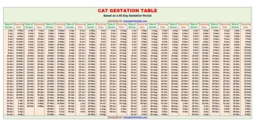 Cat Gestation Table