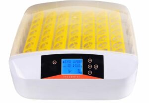 Winice Intelligent 56 Digital Egg Incubator